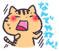 アラサーリーマンで関西三年目やが、関西住みやすいやん